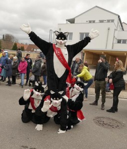 Umzug (339)